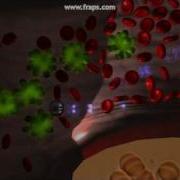 Particle Engine