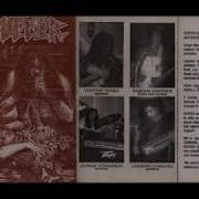 Suffer Pre Internal Suffering Pieces Of Flesh Saciate My Hungry Demo 1995