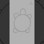 How To Draw Tortoise Turtle Easy Tortoise Drawing Shorts Youtubeshorts