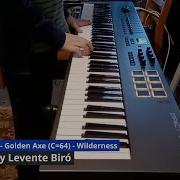 Jeroen Tel Golden Axe C64 Wilderness Game Music Cover By 9yo Levente