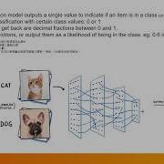 8 Introduction Binary Classification Machine Learning In JavaScript With TensorFlow Js