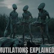 Cattle Mutilations The Chilling Alien Encounters Haunting Farmers