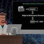 Essential Genomic File Formats For Beginners FASTA FASTQ SAM BAM And VCF Explained