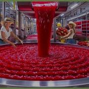 How Strawberry Jam Is Made Incredible Million Tons Of Strawberry Harvesting Processing
