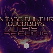 Vintage Culture Goodboys This Feeling Lyric Video