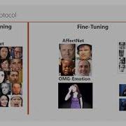 The FaceChannel A Light Weight Deep Neural Network For Facial Expression Recognition