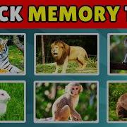 Memory Test How Good Is Your Memory 2 Minute Quick Memory Test Game 1
