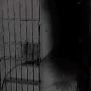 Tunnel Vision The Moral Eclipse With Visuals