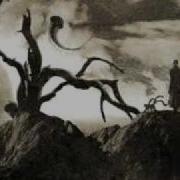 LuneCell Cosmic Dreams