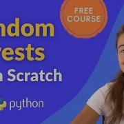 How To Implement Random Forest From Scratch With Python