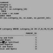 Learning Oracle Application Developer 139