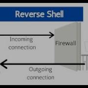 Running PHP Reverse Shell With Command Execution Vulnerability