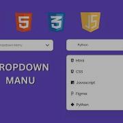 Creating A Custom Select Menu Dropdown With Html CSS Vanilla Javascript