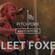 Fleet Foxes Grown Ocean Pitchfork Music Festival 2011