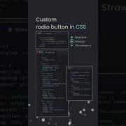 Custom Radio Buttons With CSS HTML CSS