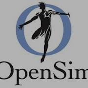 Convert Xsens And APDM IMU Data For Use Within Opensim Opensens Esra