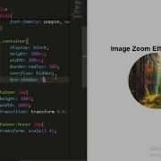 Create A Stunning Image Zoom Hover Effect Just HTML CSS In 2 Minutes