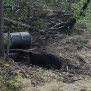 Big Sand Lake Lodge Fishing And Black Bear Hunting