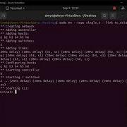 Lab 0 Mininet Walk Through