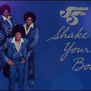 The Jacksons Shake Your Body Down To The Ground Extended Mix