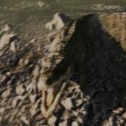 CryENGINE 3 DX11 3 4 3 ALIGATOR ALIVE