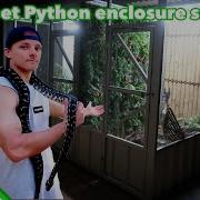 Carpet Diamond Python Setup