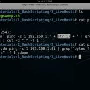 3 Bash Scripting Find Live Hosts Ping Sweep