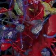 Connections In A Cube Cell July 30 2015 Vol 162 Issue 3