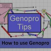 How To Use Genopro