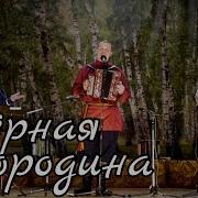 Чёрная смородина Светлана Кошелева Иван Разумов и Александр Поляков Трогательная песня о Родине