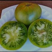 Summertime Green Томат Летний зеленый