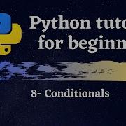 Python Tutorial For Beginners 2020 Conditionals