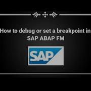 How To Debug Or Set A Breakpoint In SAP ABAP FM Function Module
