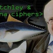 Fishy Codes Bletchley S Other Secret Computerphile