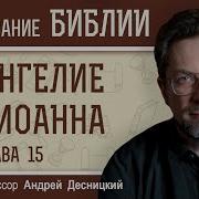 Евангелие от Иоанна Глава 15 Пребудьте во Мне и Я в вас Андрей Сергеевич Десницкий