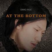 DIMO REX 디모렉스 AT THE BOTTOM M V