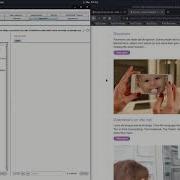 Server Side Template Injection With A Custom Exploit Video Solution