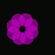 CSS Circle Flower Animation Demo 1080p