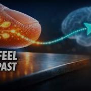 The Illusion Of Touch Why You Have Never Actually Felt Anything Science For Sleep