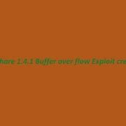 BufferOverFlow MiniShare 1 4 1