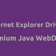 Internet Explorer WebDriver For Selenium Java