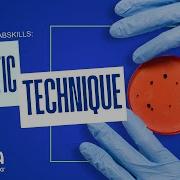 Carolina Lab Skills Aseptic Technique