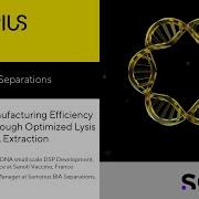 Enhancing Manufacturing Efficiency And Quality Through Optimized Lysis In Plasmid DNA Extraction