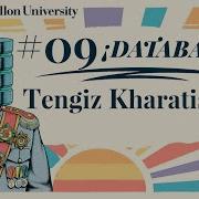 Gaia Direct Database Access Without Database APIs Tengiz Kharatishvili