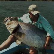 Darwin S Nightmare FishtubeTV Trailer