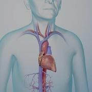How To Manage Heart Failure