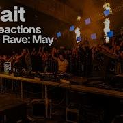 Parfait Music Reactions Outdoor Rave May