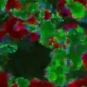 Another Interdependent Gray Scott Reaction Diffusion Simulation
