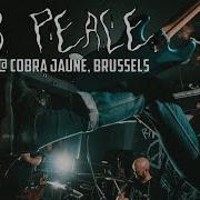 RAW PEACE COBRA JAUNE BRUSSELS SINGLE CAM FULL SET