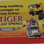 Tiger Leaf Spring Customization Capabilities